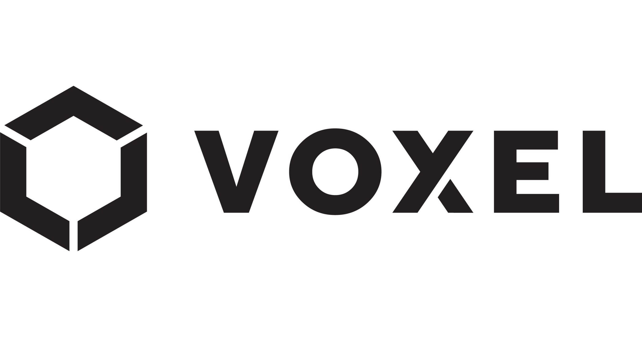Voxel_Logo